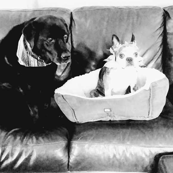 Meet your Posher, Vanessa - Picture 4 of 6